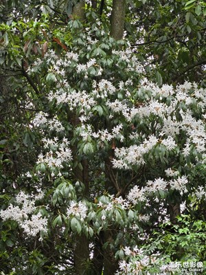 【別樣精彩】+瞬間精彩