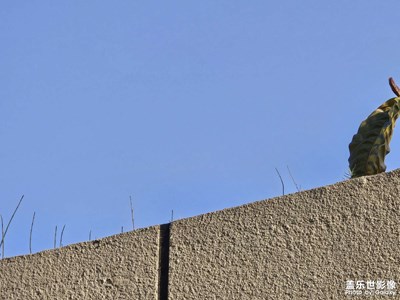 【別樣精彩】+小角落