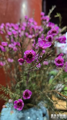 【別樣精彩】虛化