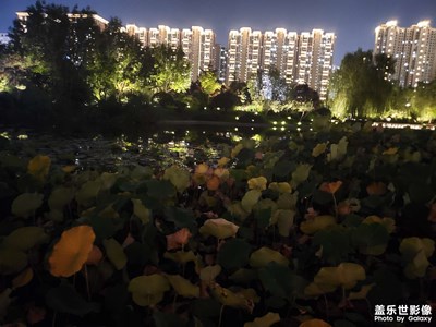 【別樣精彩】+湖畔夜色