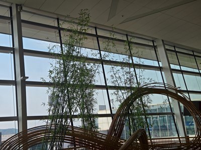 【別樣精彩】+拍下精彩