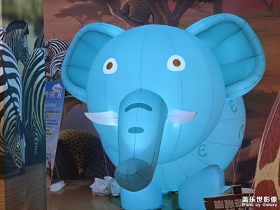 【別樣精彩】+發(fā)胖的動(dòng)物