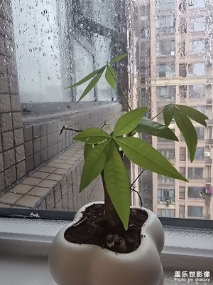 窗邊的雨
