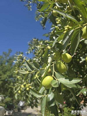 喜歡這樣拍拍風(fēng)景