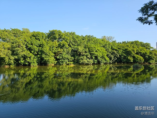 【假日尾聲】綠意假日