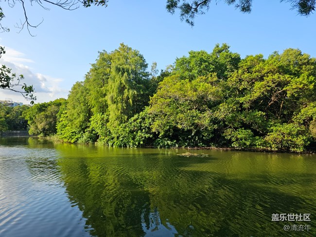 【假日尾聲】綠意假日