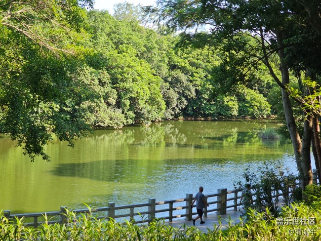 【假日尾聲】綠意假日