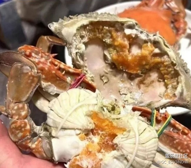 【宴坐秋庭】紅膏蟹