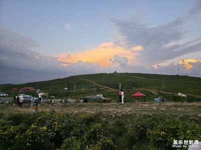 【拍出生命力】+日常隨拍