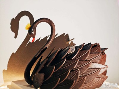 【拍出生命力】+存在的意義