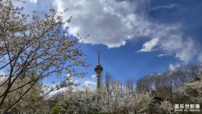 【拍出生命力】塔