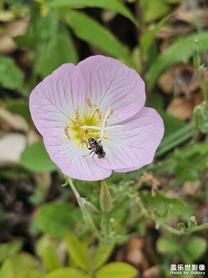 【拍出生命力】+記錄生活