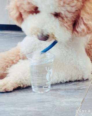 有情調(diào)的巨貴