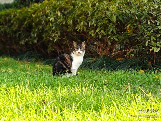 【如青春一般的盛夏】捕捉自然
