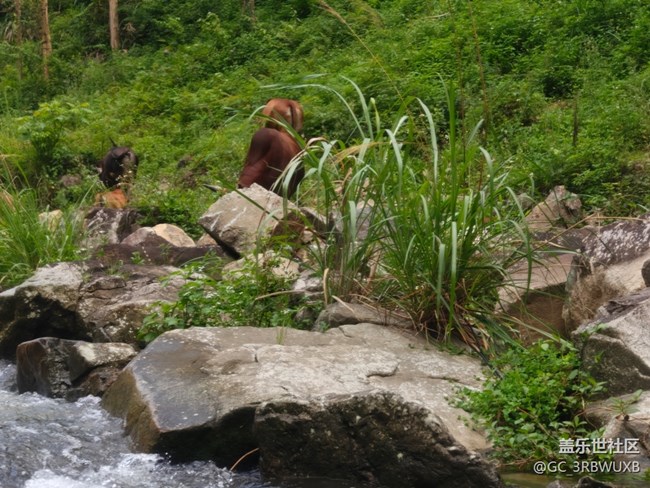 7.6志閩漂流攝影活動回顧貼