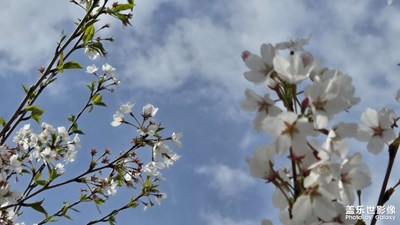 【拍出生命力】天