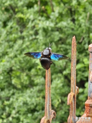 【拍出生命力】