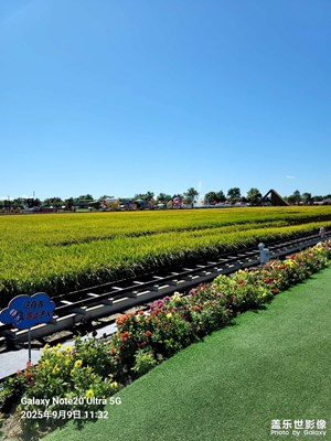 【拍出生命力】+記錄生活