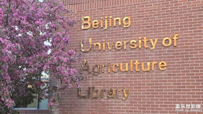 【拍出生命力】校園