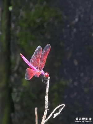 【拍出生命力】款款而立