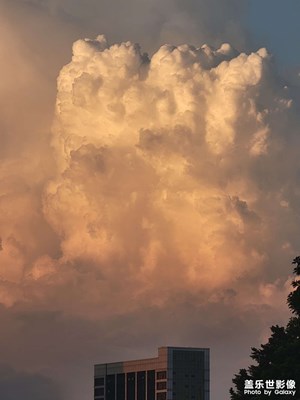 放慢腳步，抬頭看看