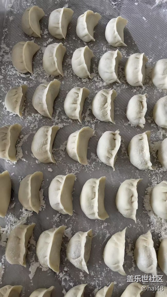 【宴坐秋庭】餃子