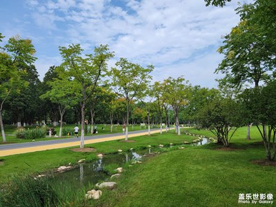 【拍出生命力】+公園風(fēng)景