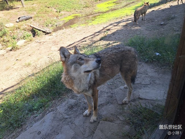 【夏日運動季】徒步動物園