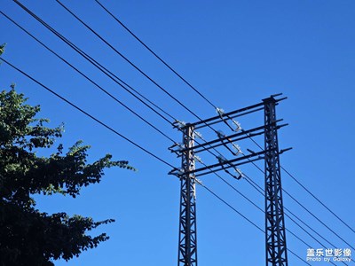 【拍出生命力】晴天