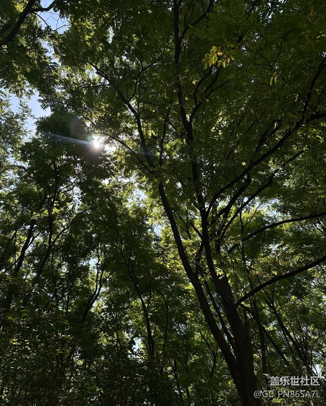 【如青春一般的盛夏】擁抱大自然