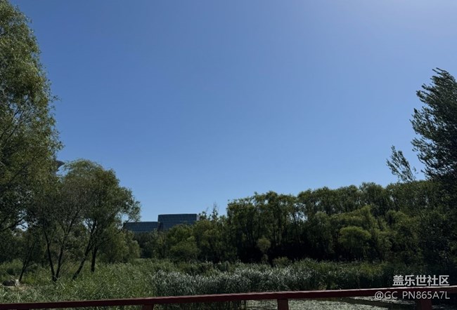 【如青春一般的盛夏】擁抱大自然