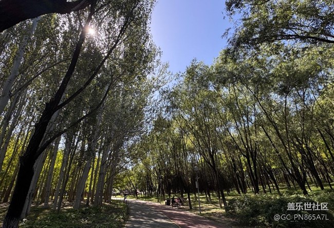 【如青春一般的盛夏】擁抱大自然