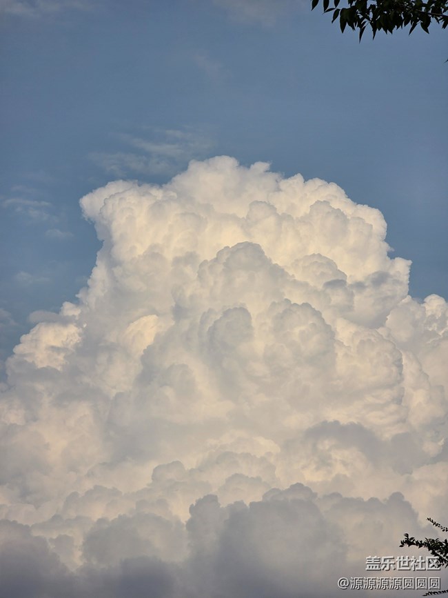 Galaxy S25 Ultra 兩周使用體驗分享 Galaxy S25 Ultra 兩周使用體驗分享