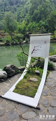 【拍出生命力】讓生命在等候