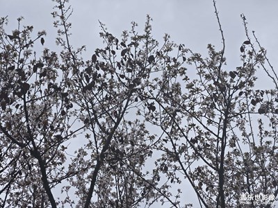 【拍出生命力】+熱愛生活