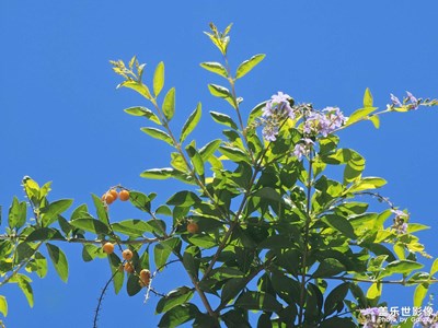 【拍出生命力】生機(jī)勃勃