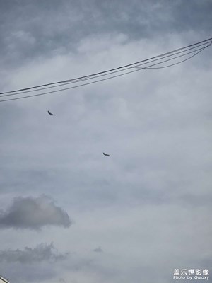 【拍出生命力】+J20