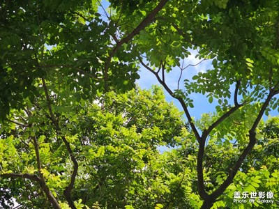 【拍出生命力】陽光正好