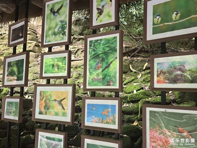 【拍出生命力】+靈動的世界