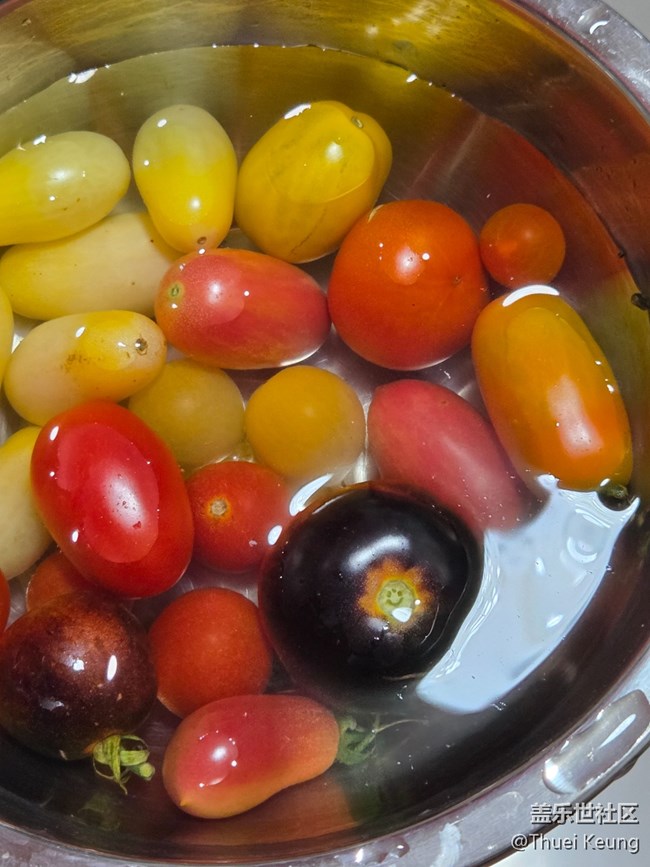 #星粉試用營 S25+體驗分享 #星粉試用營 S25+體驗分享