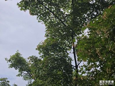 【拍出生命力】+自然之美