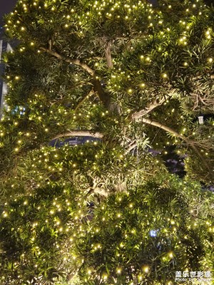 【拍出生命力】+生命的意義