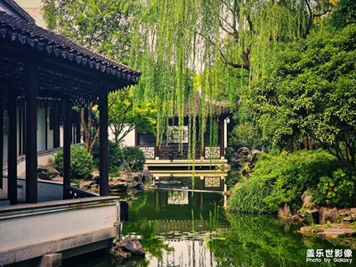 【拍出生命力】+博物館后院