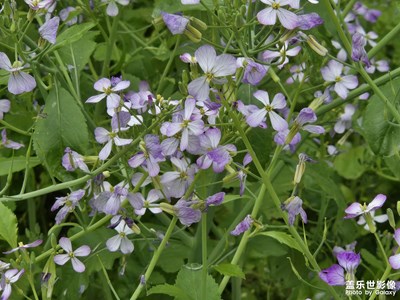 【拍出生命力】+鮮活生命力