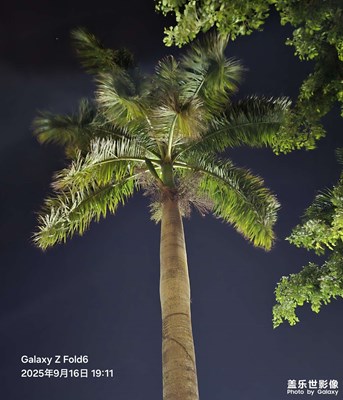 【拍出生命力】夜晚秋風(fēng)蕭瑟