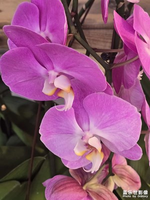 拍照還是不錯(cuò)的