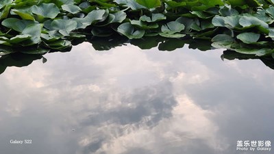 【拍出生命力】+記錄生活