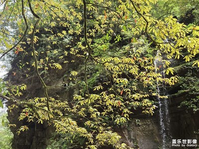 【拍出生命力】+生機(jī)浮現(xiàn)