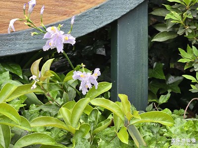 【拍出生命力】+生機(jī)盎然