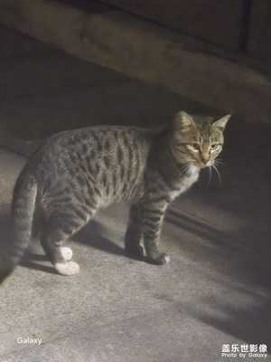 【光影里的尋找】+場景小拍